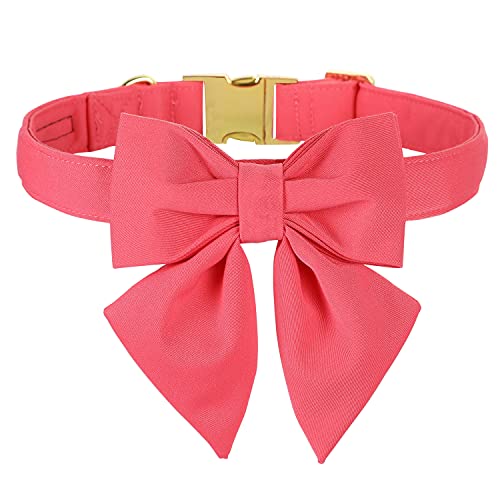 M Maca Bates Dog Collar with Bow M Maca Bates Dog Collar with Bow